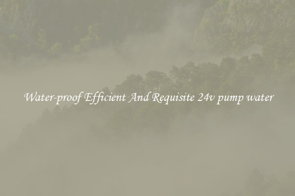 Water-proof Efficient And Requisite 24v pump water