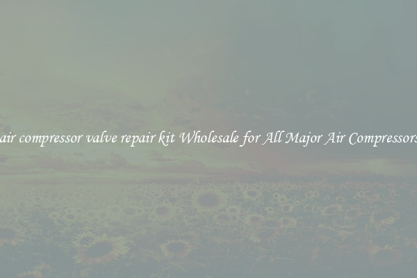air compressor valve repair kit Wholesale for All Major Air Compressors