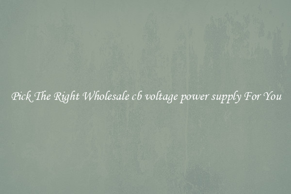 Pick The Right Wholesale cb voltage power supply For You
