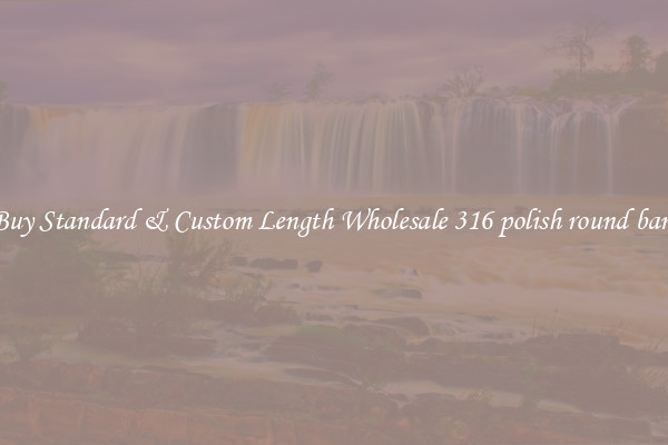 Buy Standard & Custom Length Wholesale 316 polish round bars