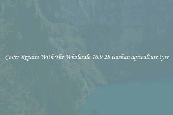  Cover Repairs With The Wholesale 16.9 28 taishan agriculture tyre 