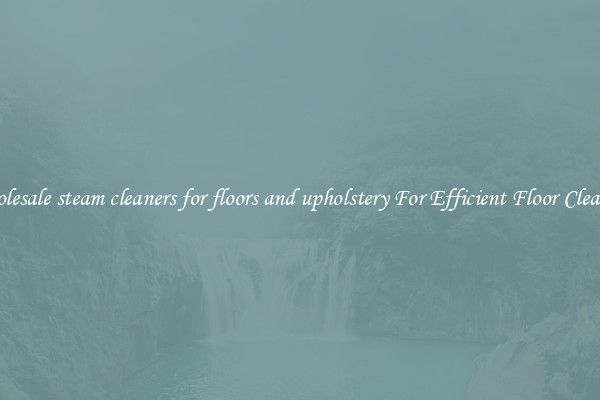 Wholesale steam cleaners for floors and upholstery For Efficient Floor Cleaning