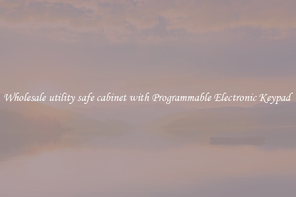 Wholesale utility safe cabinet with Programmable Electronic Keypad 