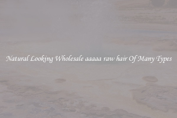 Natural Looking Wholesale aaaaa raw hair Of Many Types