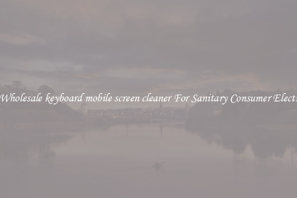Safe Wholesale keyboard mobile screen cleaner For Sanitary Consumer Electronics