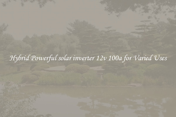 Hybrid Powerful solar inverter 12v 100a for Varied Uses