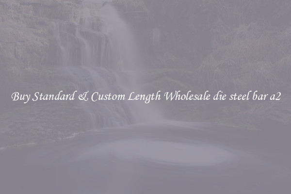 Buy Standard & Custom Length Wholesale die steel bar a2