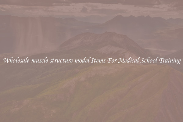 Wholesale muscle structure model Items For Medical School Training