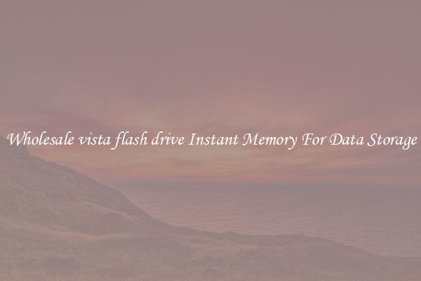 Wholesale vista flash drive Instant Memory For Data Storage