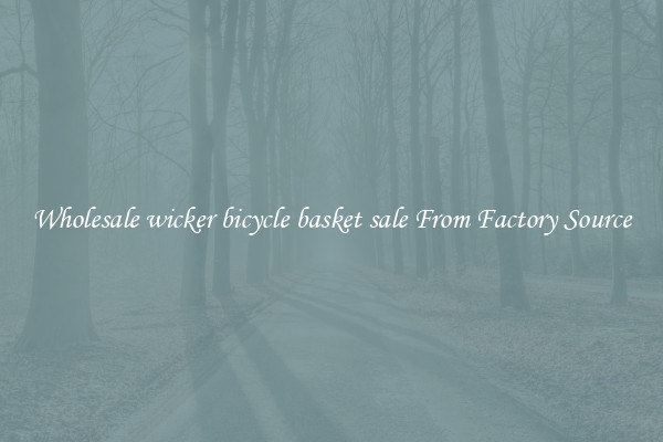 Wholesale wicker bicycle basket sale From Factory Source