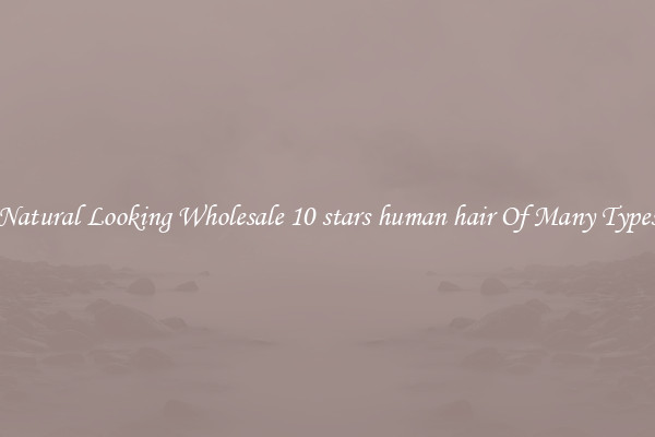 Natural Looking Wholesale 10 stars human hair Of Many Types