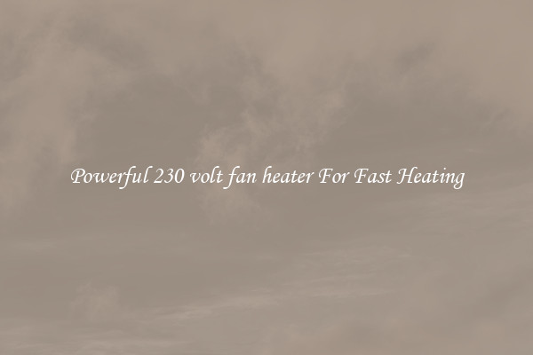 Powerful 230 volt fan heater For Fast Heating