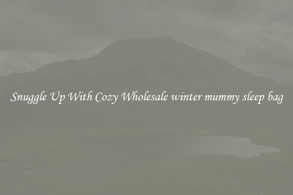 Snuggle Up With Cozy Wholesale winter mummy sleep bag