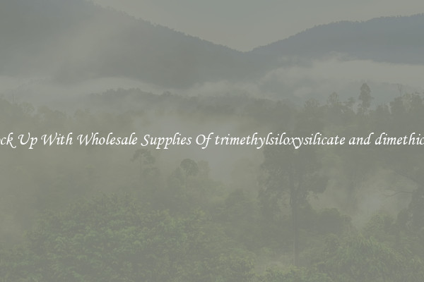 Stock Up With Wholesale Supplies Of trimethylsiloxysilicate and dimethicone