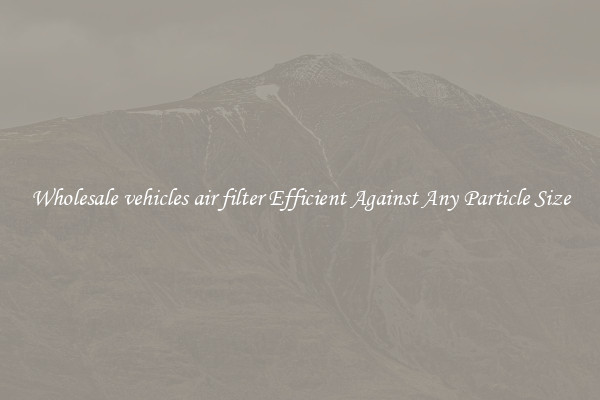 Wholesale vehicles air filter Efficient Against Any Particle Size
