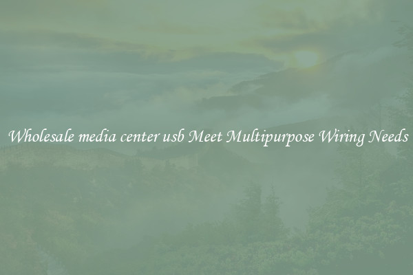 Wholesale media center usb Meet Multipurpose Wiring Needs