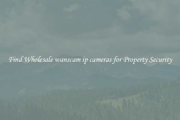 Find Wholesale wanscam ip cameras for Property Security