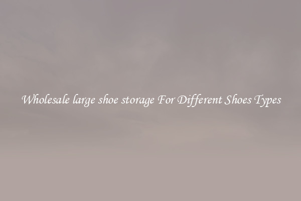 Wholesale large shoe storage For Different Shoes Types