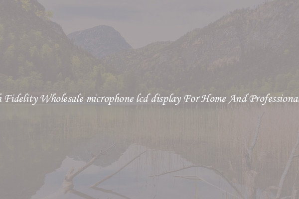 High Fidelity Wholesale microphone lcd display For Home And Professional Use