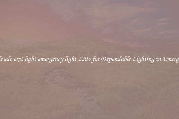 Wholesale exit light emergency light 220v for Dependable Lighting in Emergencies