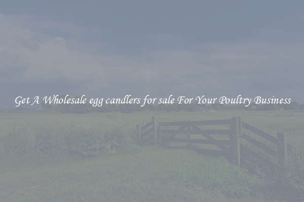 Get A Wholesale egg candlers for sale For Your Poultry Business