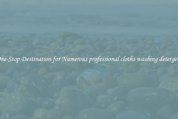 One-Stop Destination for Numerous professional cloths washing detergent