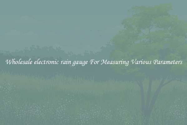 Wholesale electronic rain gauge For Measuring Various Parameters