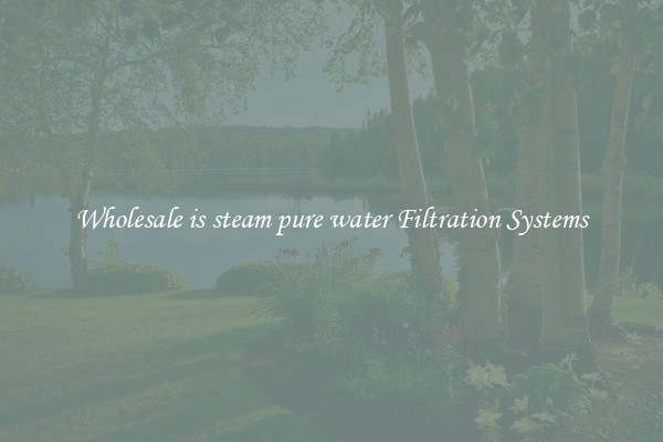 Wholesale is steam pure water Filtration Systems