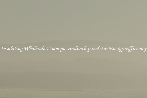 Insulating Wholesale 75mm pu sandwich panel For Energy Efficiency