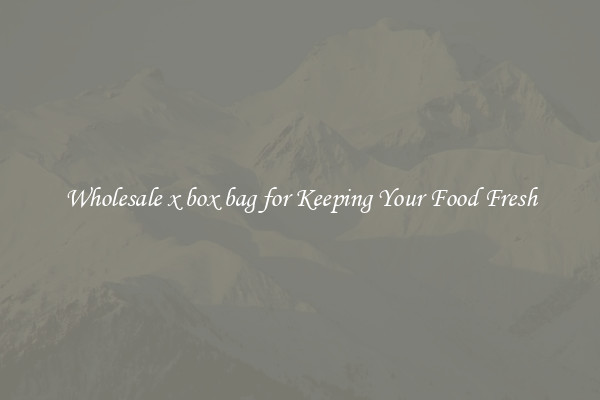 Wholesale x box bag for Keeping Your Food Fresh