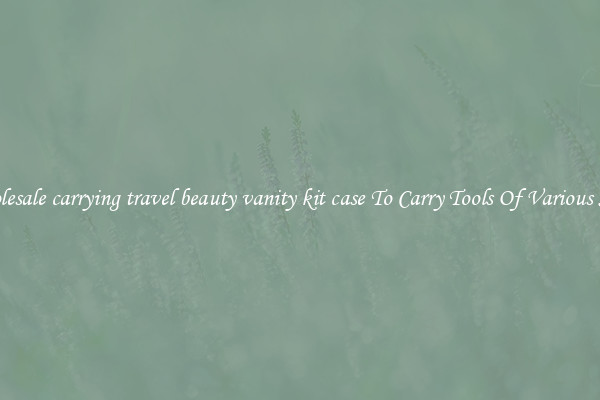 Wholesale carrying travel beauty vanity kit case To Carry Tools Of Various Sizes