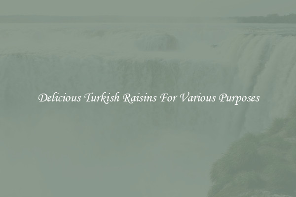 Delicious Turkish Raisins For Various Purposes