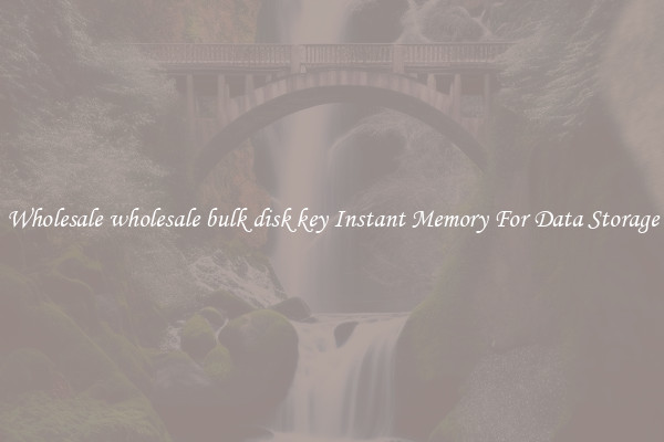 Wholesale wholesale bulk disk key Instant Memory For Data Storage